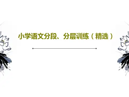 小学语文分段、分层训练(精选)PPT25页
