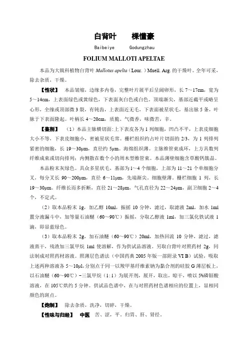 白背叶