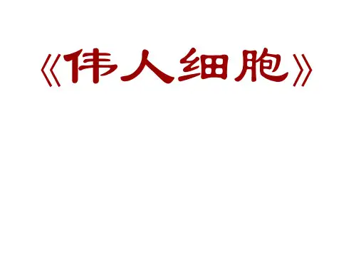 七年级语文上册 第二单元 第8课《伟人细胞》教学课件 苏教版