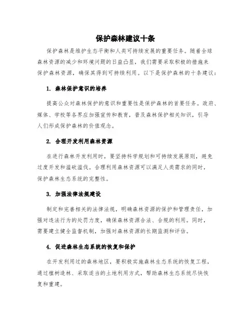 保护森林建议十条