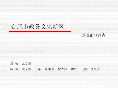 合肥市政务文化新区景观调研分析