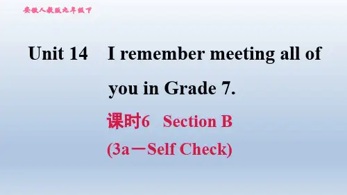 2020春人教版九年级英语下册课件-Unit 14-课时6 Section B (3a-Self Check)