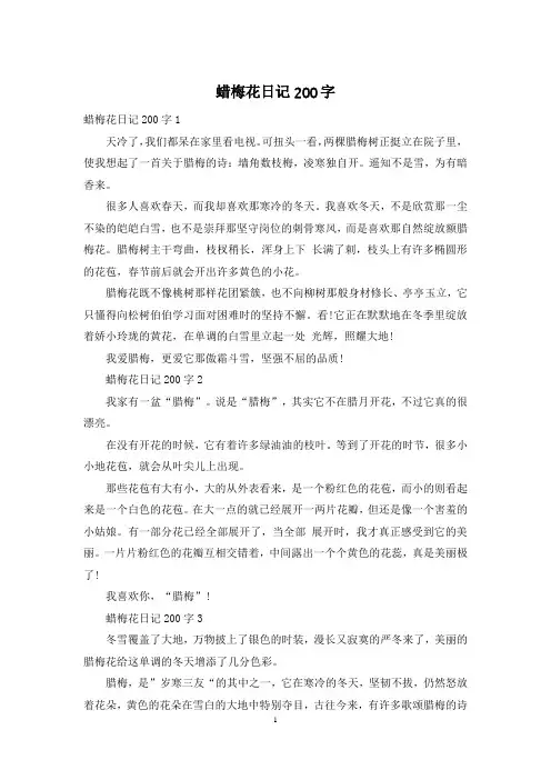 蜡梅花日记200字