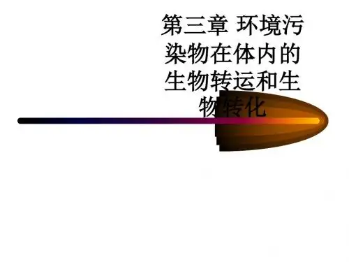 第三章 环境污染物在体内的生物转运和生物转化ppt课件