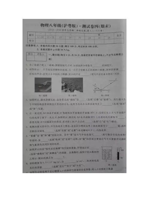 2018-2019学年(上)安徽省八年级物理(沪粤版) 测试试卷(四) (期末)(图片版 有答案)