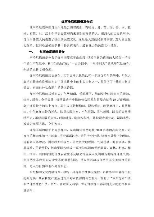 红河哈尼梯田情况介绍