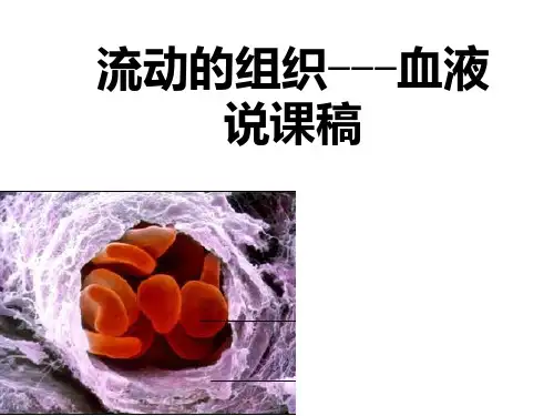 第一节流动的组织---血液说课课件人教版生物七年级下册