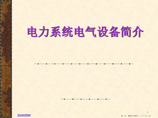 电力系统一次电气设备简介(1)