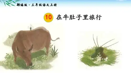 部编三年级上册语文第10课 《在牛肚子里旅行》公开课PPT课件
