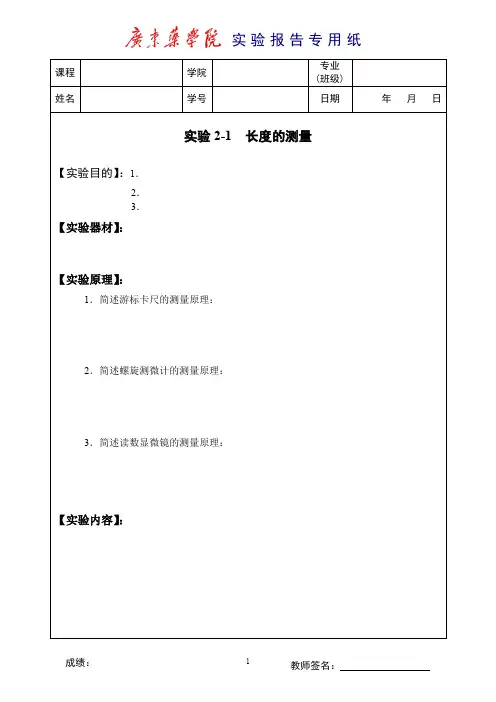 大学物理实验2-1报告模板(中山)