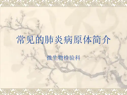 常见的肺炎病原体简介精品PPT课件