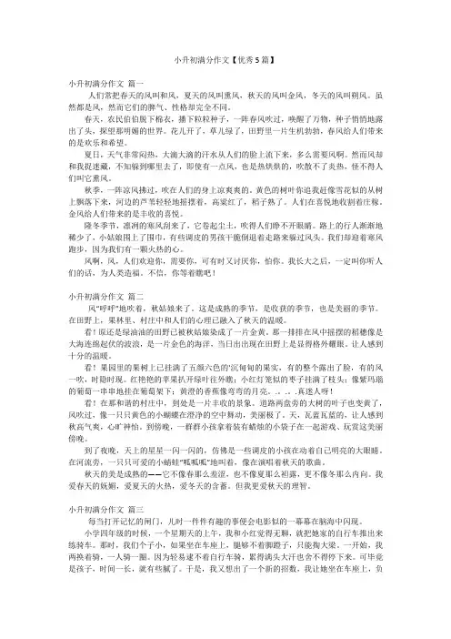 2023年最新-小升初满分作文【优秀5篇】