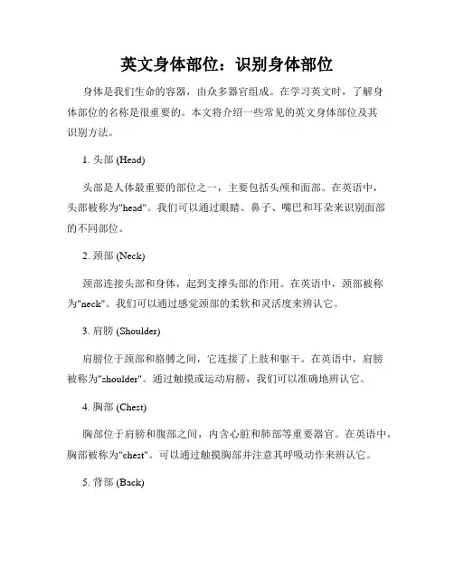 英文身体部位：识别身体部位