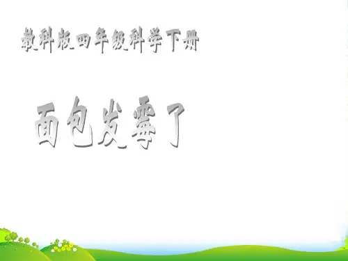 四年级科学下册 面包发霉了 1课件 教科版