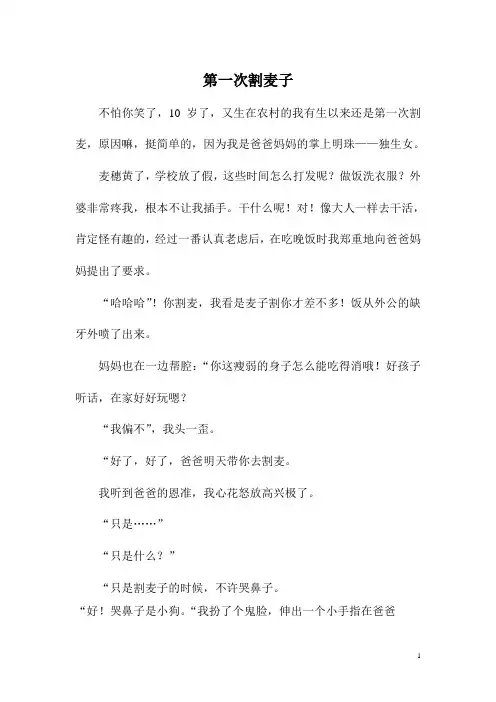 第一次割麦子1