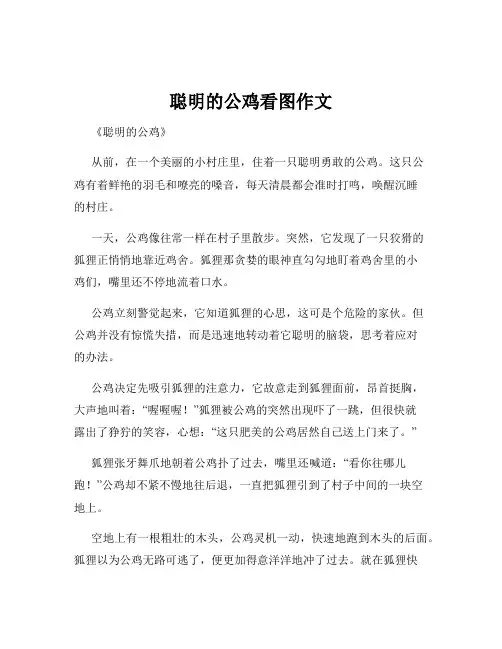 聪明的公鸡看图作文