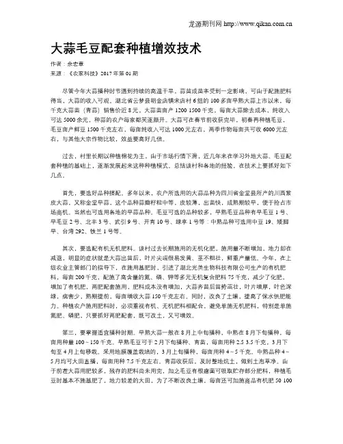 大蒜毛豆配套种植增效技术