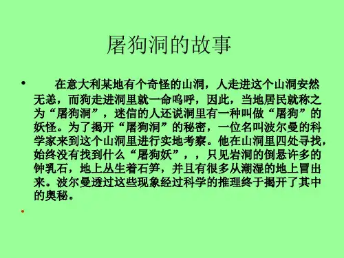 化学人教版《二氧化碳制取的研究》课件1