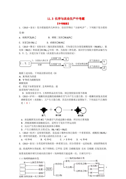 九年级化学下册 11.3 化学与农业生产中考题 (新版)鲁教版