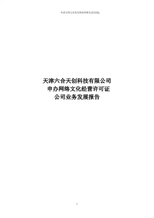 申请文网文业务发展说明报告(真实版)