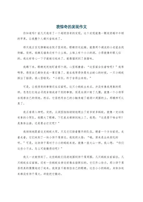 我惊奇的发现作文