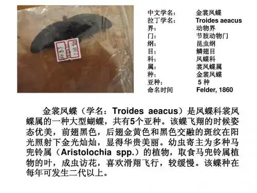 一些常见植物,蝴蝶,昆虫等介绍,生物学分类
