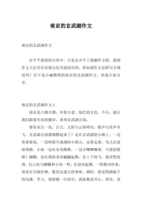 南京的玄武湖作文