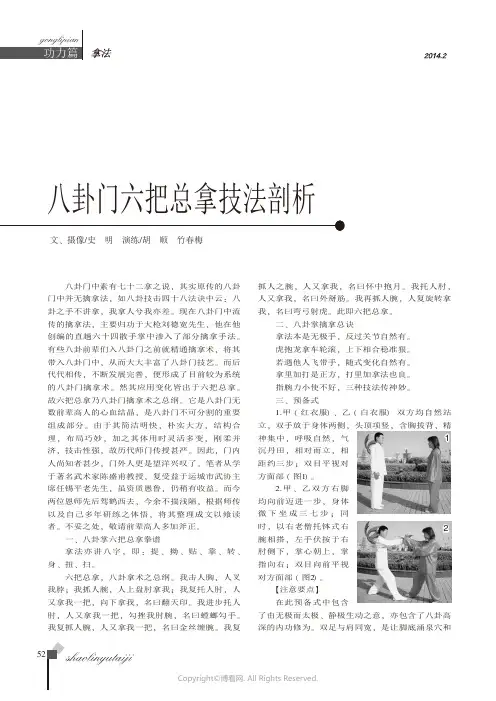 拿法八卦门六把总拿技法剖析