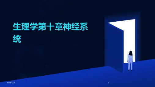 生理学第十章神经系统