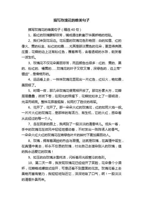 描写玫瑰花的唯美句子（精选40句）