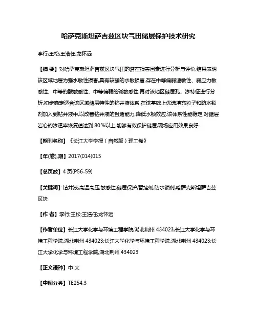 哈萨克斯坦萨吉兹区块气田储层保护技术研究