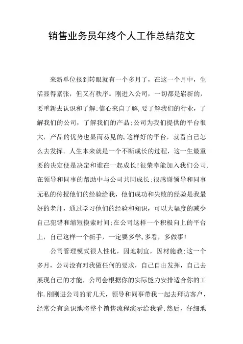 销售业务员年终个人工作总结范文