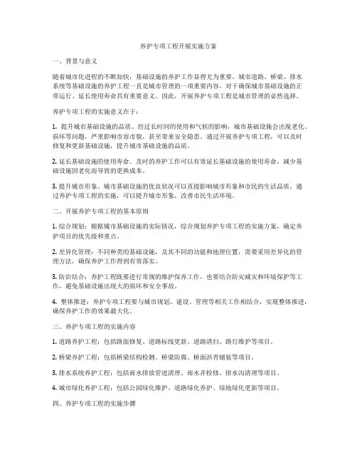 养护专项工程开展实施方案