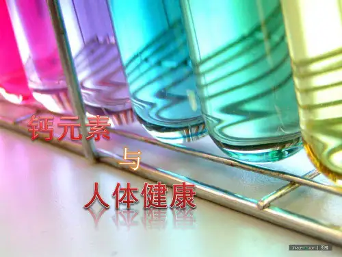 钙元素与人体健康