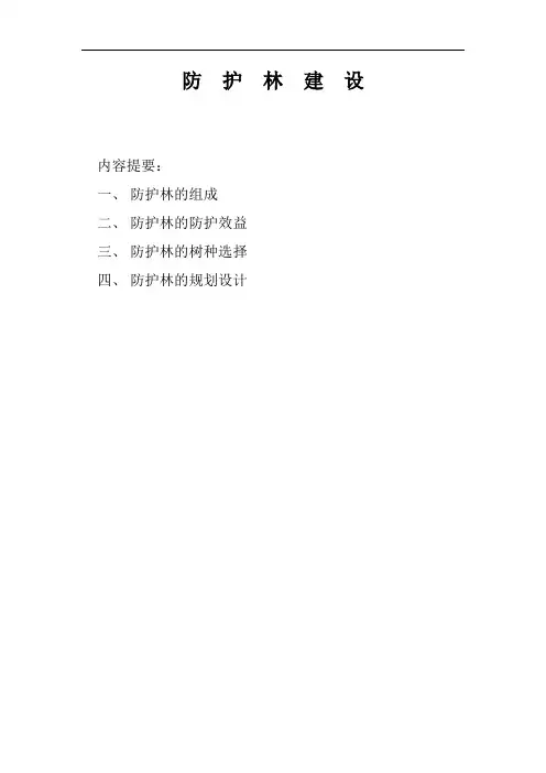 防护林建设方案