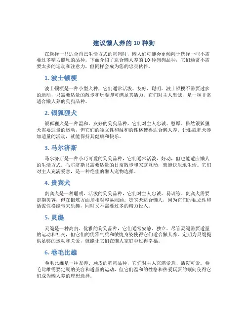 建议懒人养的10种狗