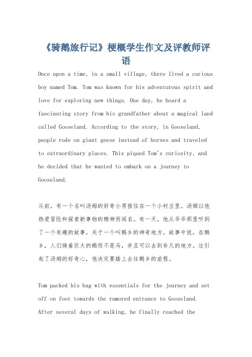 《骑鹅旅行记》梗概学生作文及评教师评语