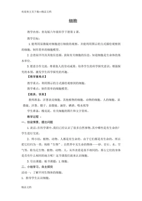 青岛版六年级科学下册《细胞》教案