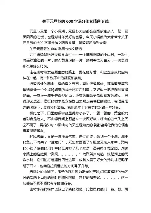 关于元旦节的600字满分作文精选5篇