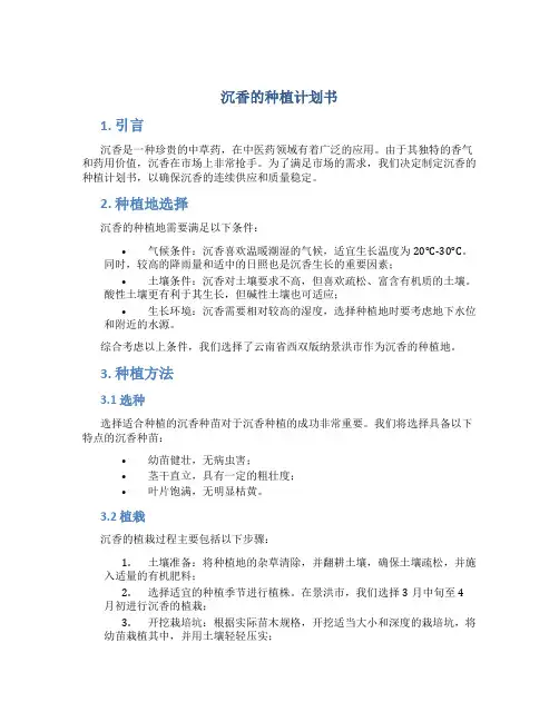 沉香的种植计划书