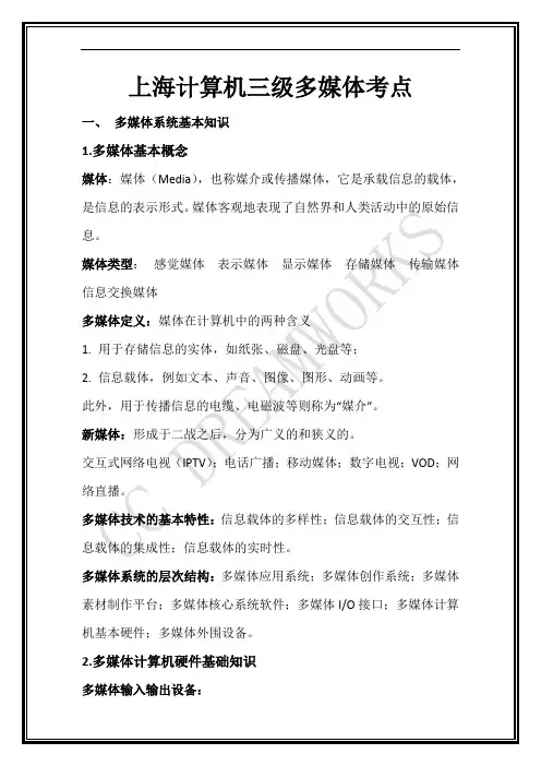 上海市计算机三级多媒体选择题考点