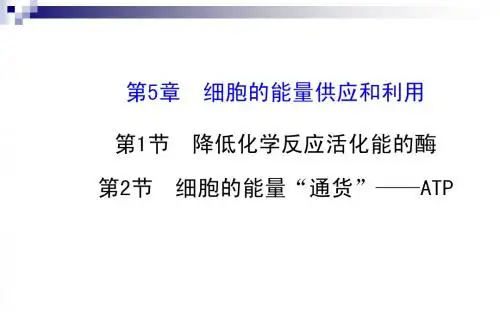 2015届高考生物一轮总复习课件：5.1-5.2降低化学反应活化能的酶 ATP
