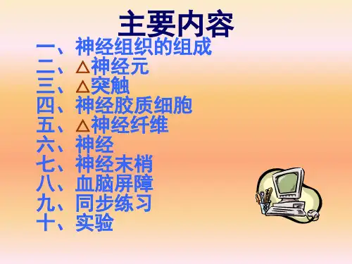 组织学与胚胎学华西神经组织课堂PPT