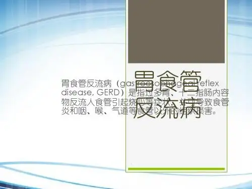 胃食管反流病PPT课件