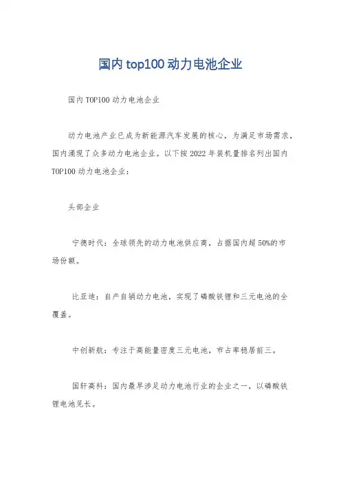 国内top100动力电池企业