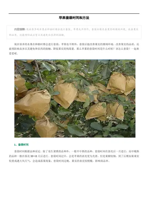 苹果套袋时间和方法
