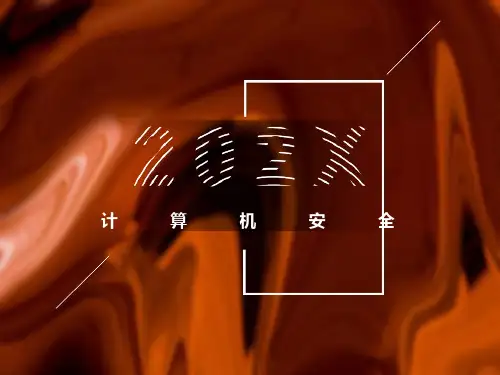 计算机病毒知识