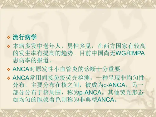 ANCA相关肾小球肾炎ppt课件