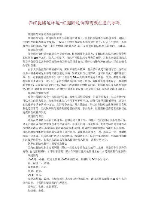 养红腿陆龟环境-红腿陆龟饲养需要注意的事项