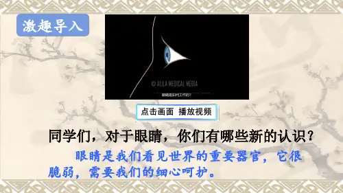 部编版语文四年级上册口语交际：爱护眼睛,保护视力课件